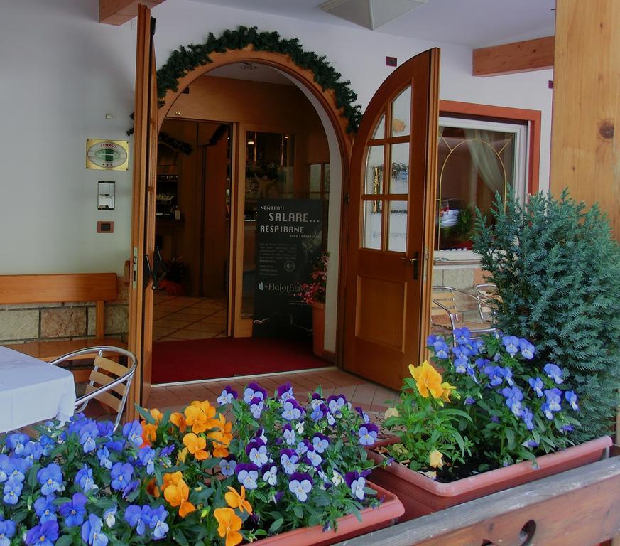 Hotel Belvedere Wellness & Family Базельга-ди-Пине Экстерьер фото